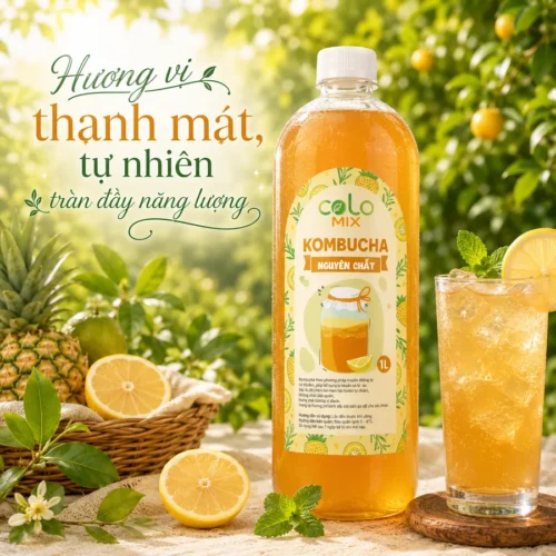 Trà Kombucha